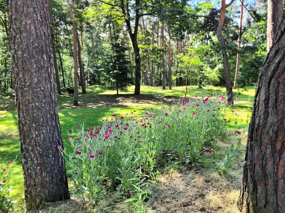 Ushuaïa Villages - Camping du Sabot 3 Gwiazdy★★★