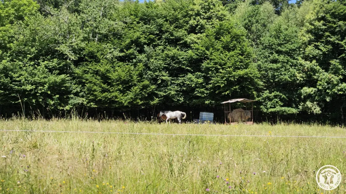 Gîte de France Le Rouzeyrol 3 oren