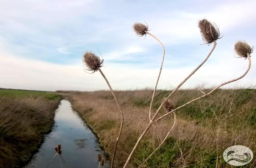 Camping Les Mizottes 4 étoiles★★★★