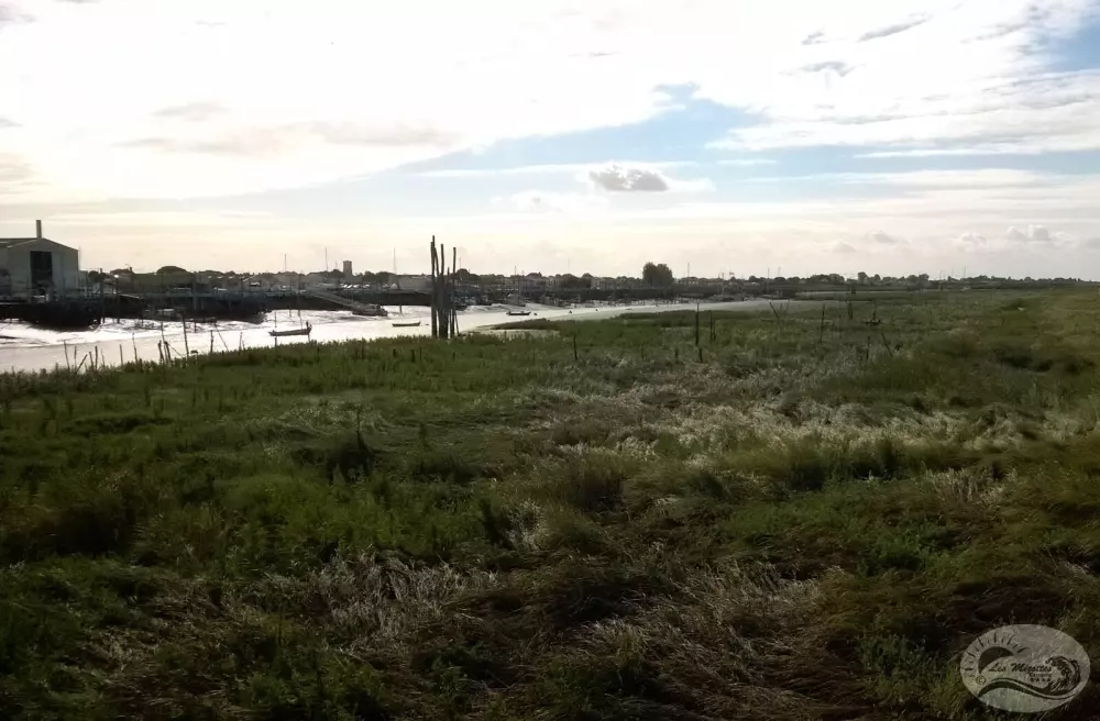 Camping Les Mizottes 4 étoiles★★★★