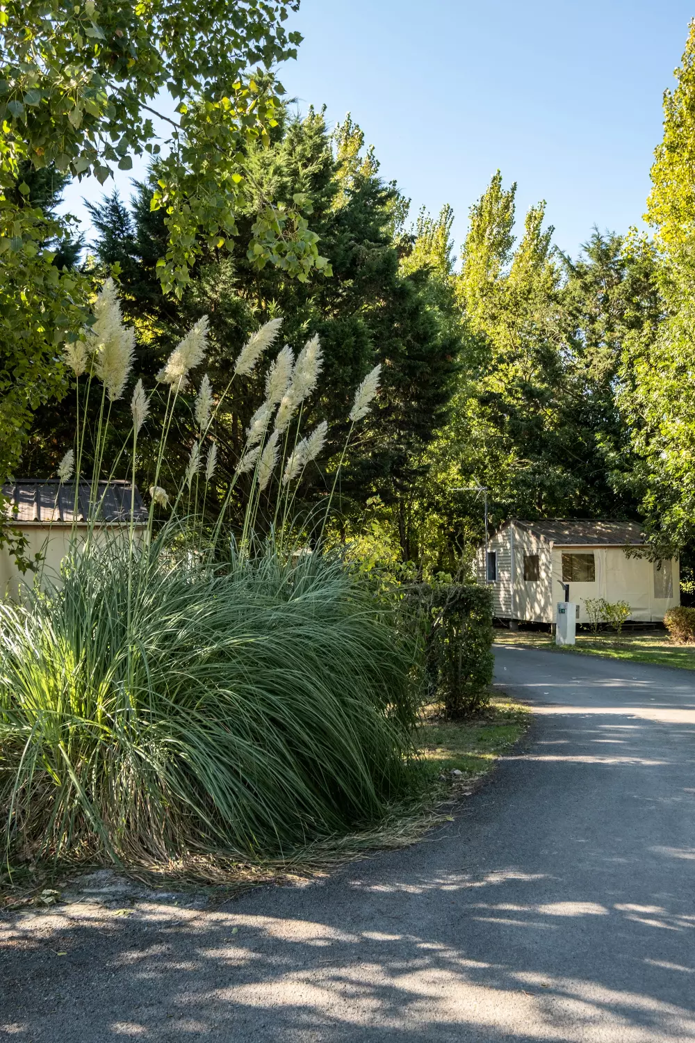 Camping Les Mizottes 4 étoiles★★★★