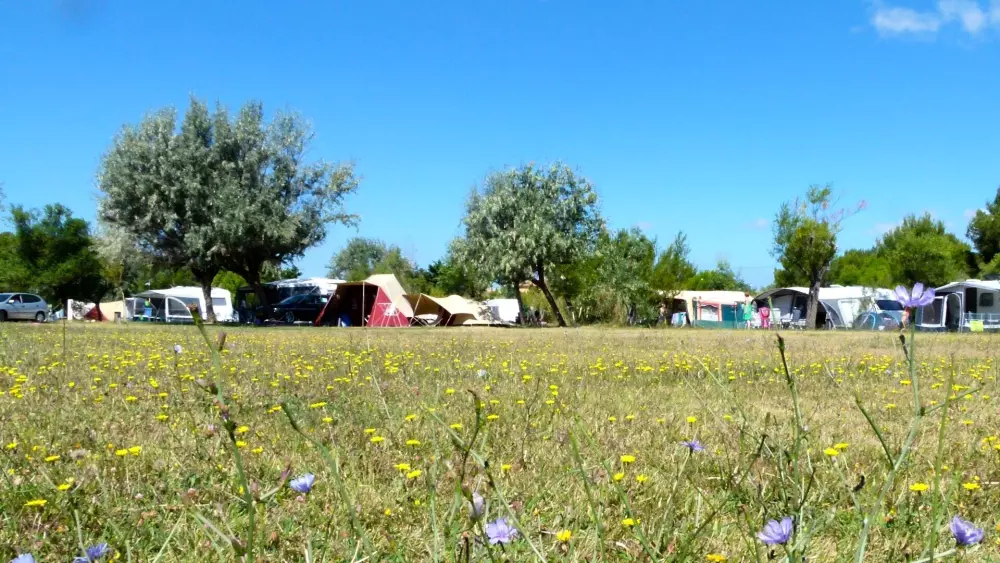 Campingplads Felix de la Bastide Tæt på
