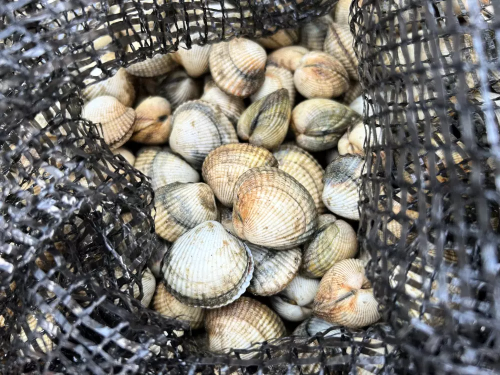 Campsite Domaine du Mes 3 Csillagok★★★