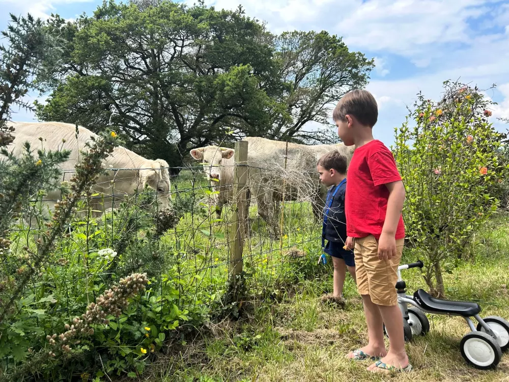 Campsite Domaine du Mes 3 Csillagok★★★