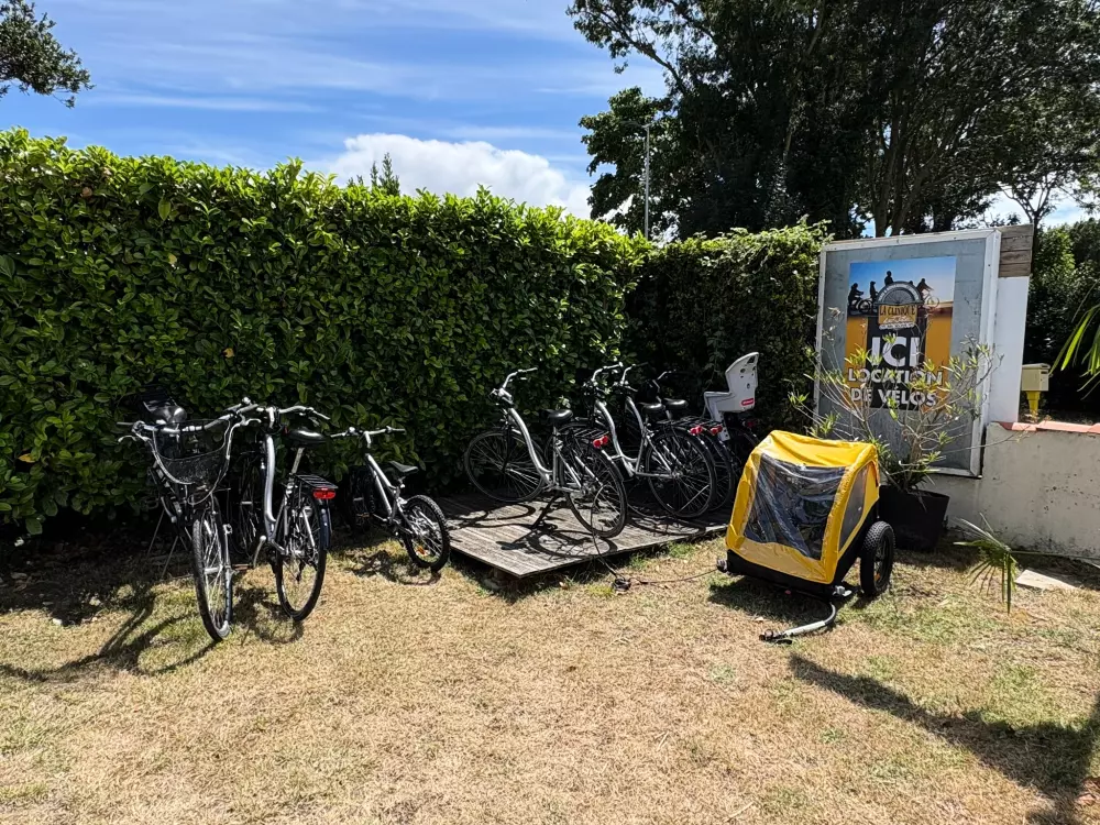 Blomster Camping L'Abri-Côtier Tæt på