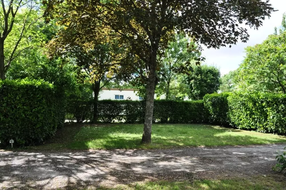 Blomster Camping L'Abri-Côtier Tæt på