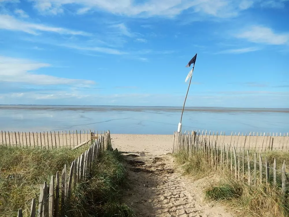 Blomster Camping L'Abri-Côtier Tæt på