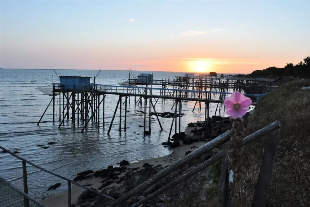 Blomster Camping L'Abri-Côtier Tæt på