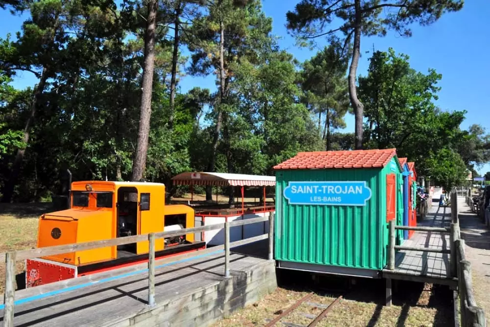 Blomster Camping L'Abri-Côtier Tæt på