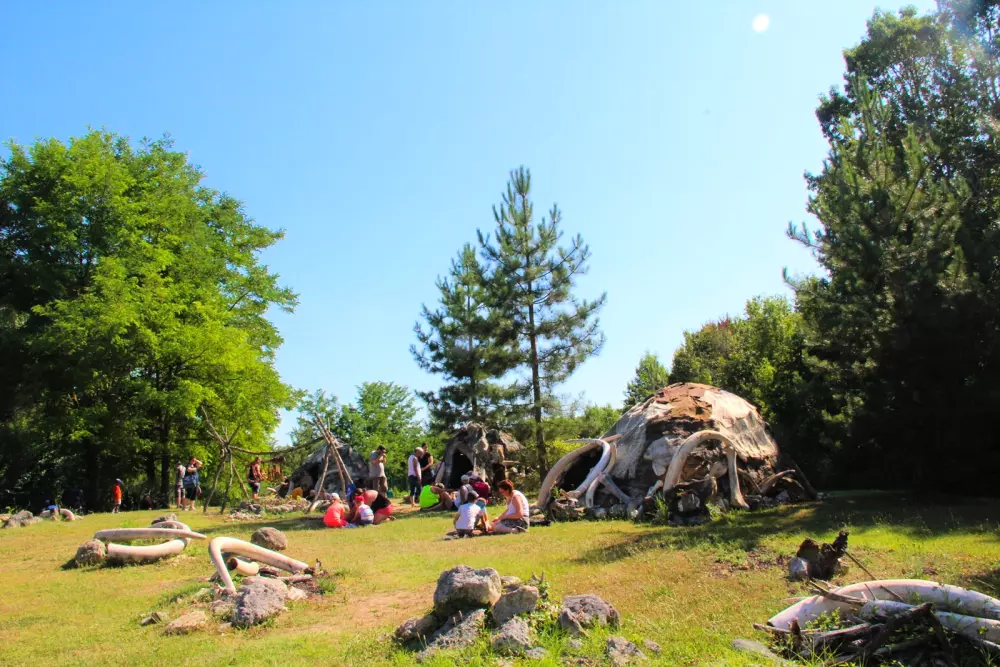 Blomster Camping L'Abri-Côtier Tæt på
