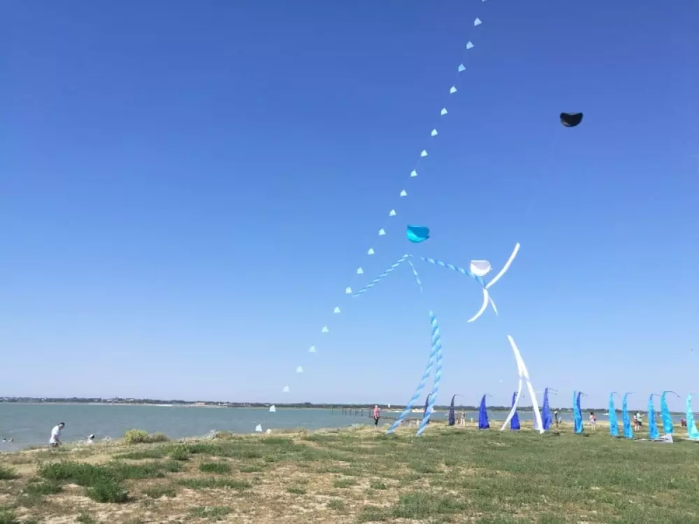 Blomster Camping L'Abri-Côtier Tæt på