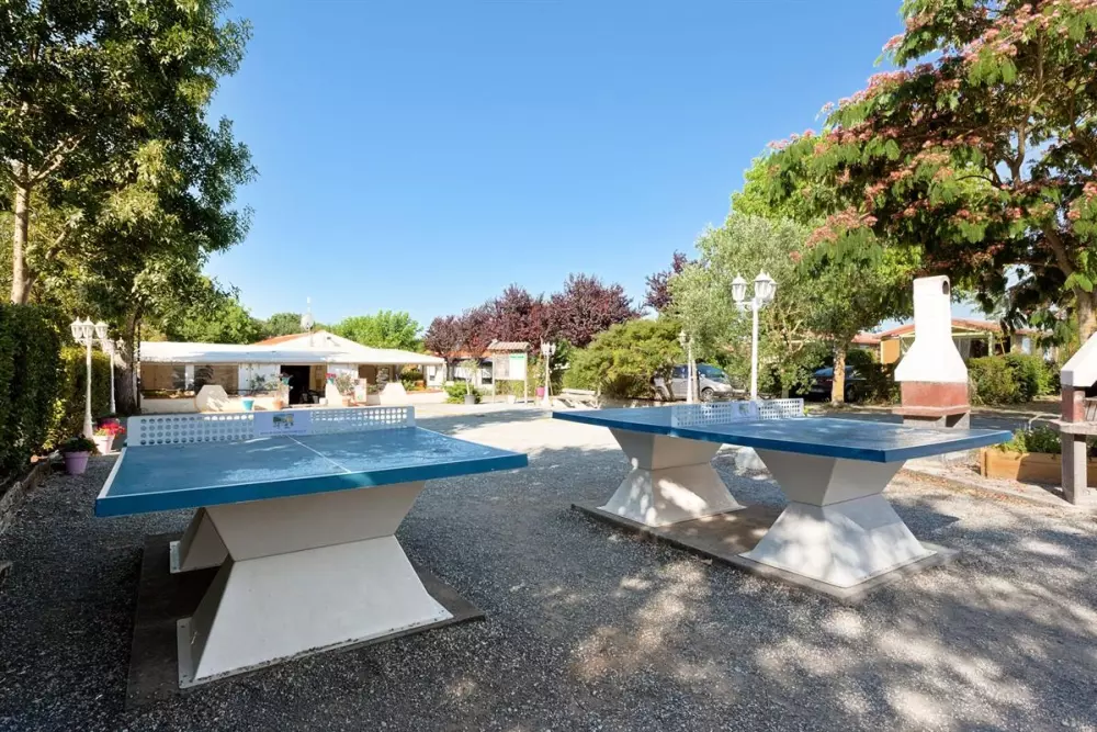 Blomster Camping L'Abri-Côtier Tæt på