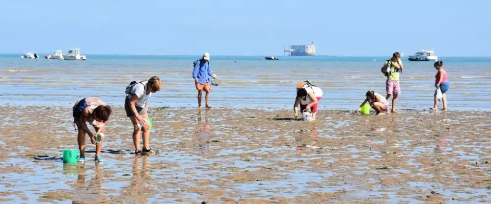 Blomster Camping L'Abri-Côtier Tæt på