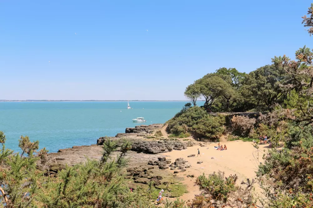 Blomster Camping L'Abri-Côtier Tæt på