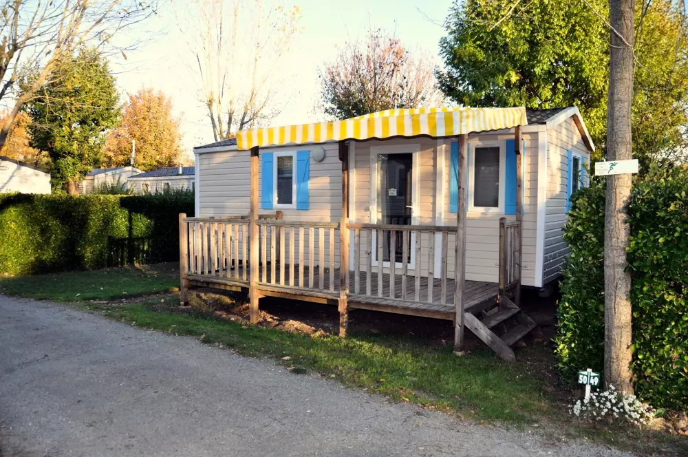 Blomster Camping L'Abri-Côtier Tæt på