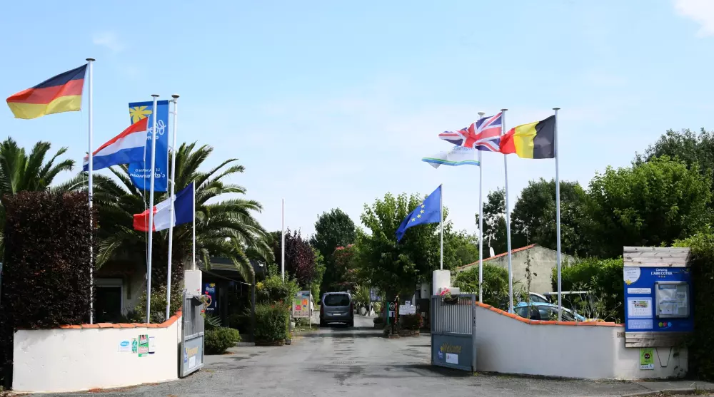 Blomster Camping L'Abri-Côtier Tæt på