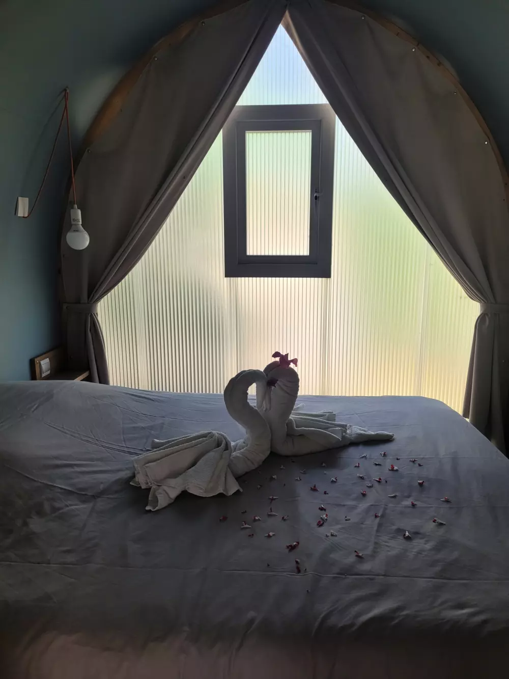 Blomster Camping L'Abri-Côtier Tæt på