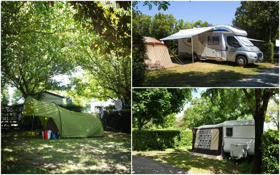 Blomster Camping L'Abri-Côtier Tæt på