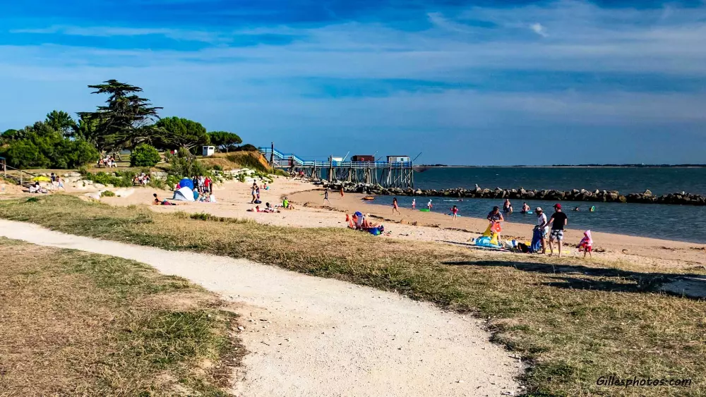 Blomster Camping L'Abri-Côtier Tæt på