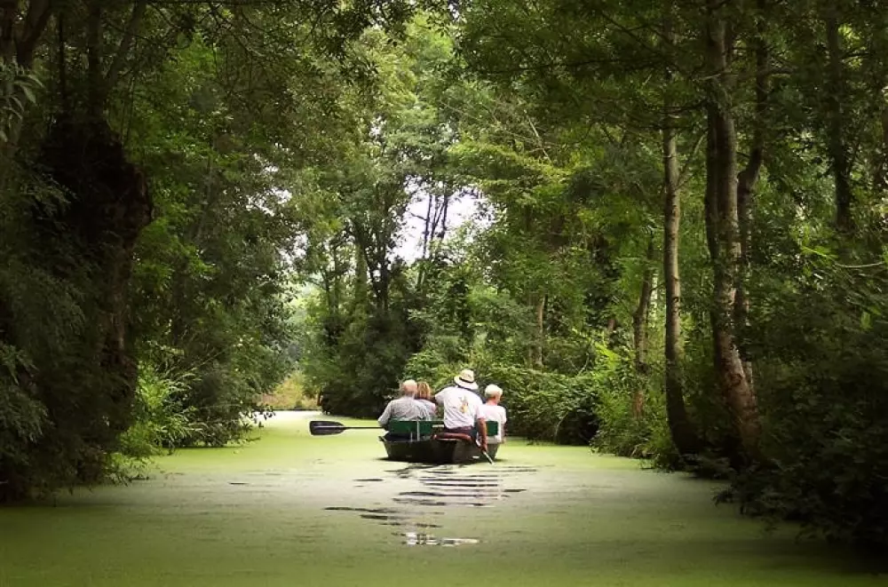 Blomster Camping L'Abri-Côtier Tæt på