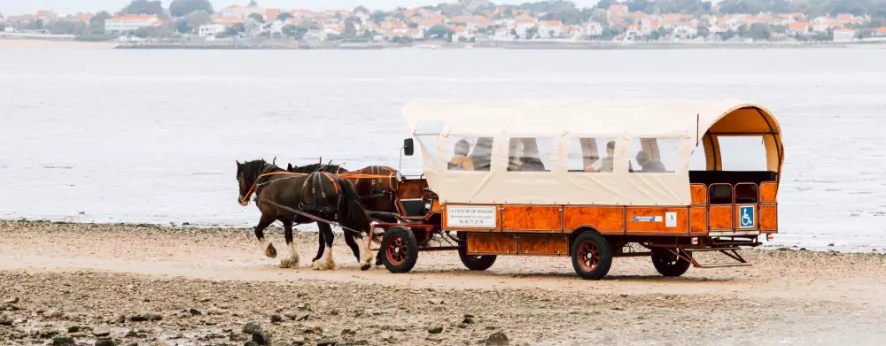 Blomster Camping L'Abri-Côtier Tæt på