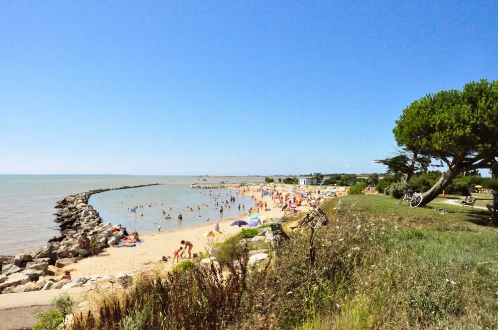 Blomster Camping L'Abri-Côtier Tæt på