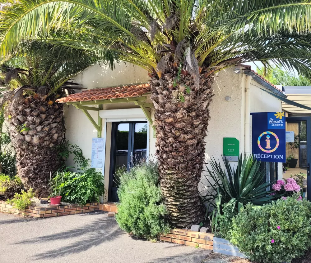 Blomster Camping L'Abri-Côtier Tæt på