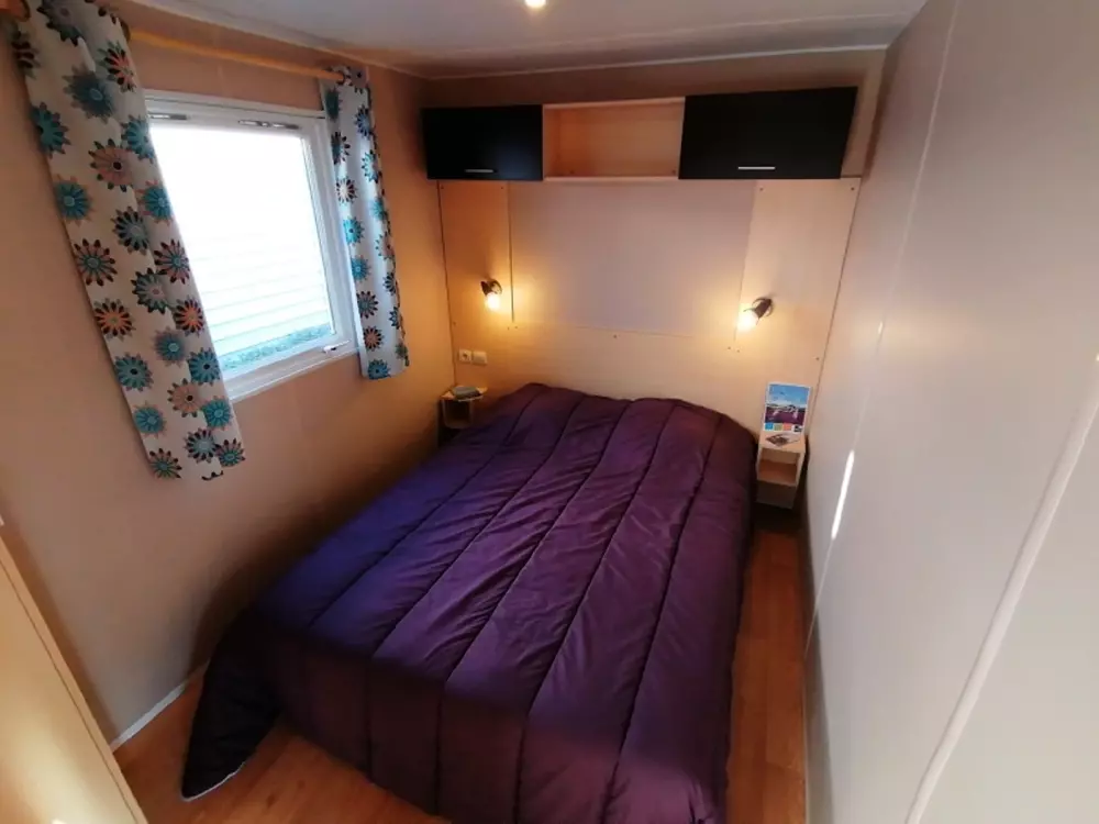 Blomster Camping L'Abri-Côtier Tæt på