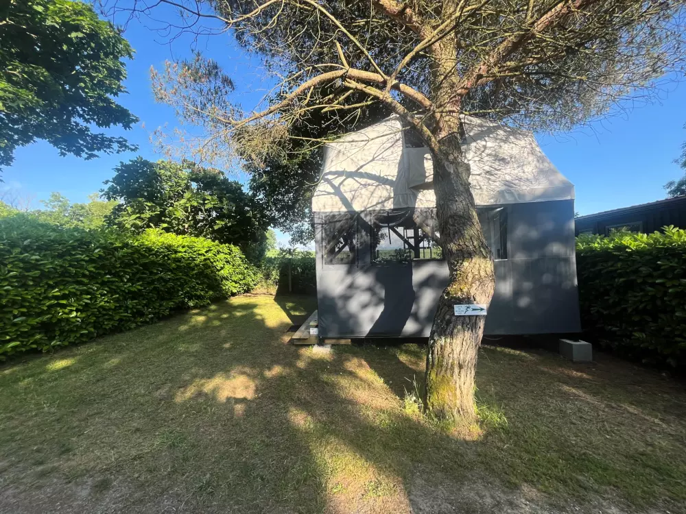 Blomster Camping L'Abri-Côtier Tæt på