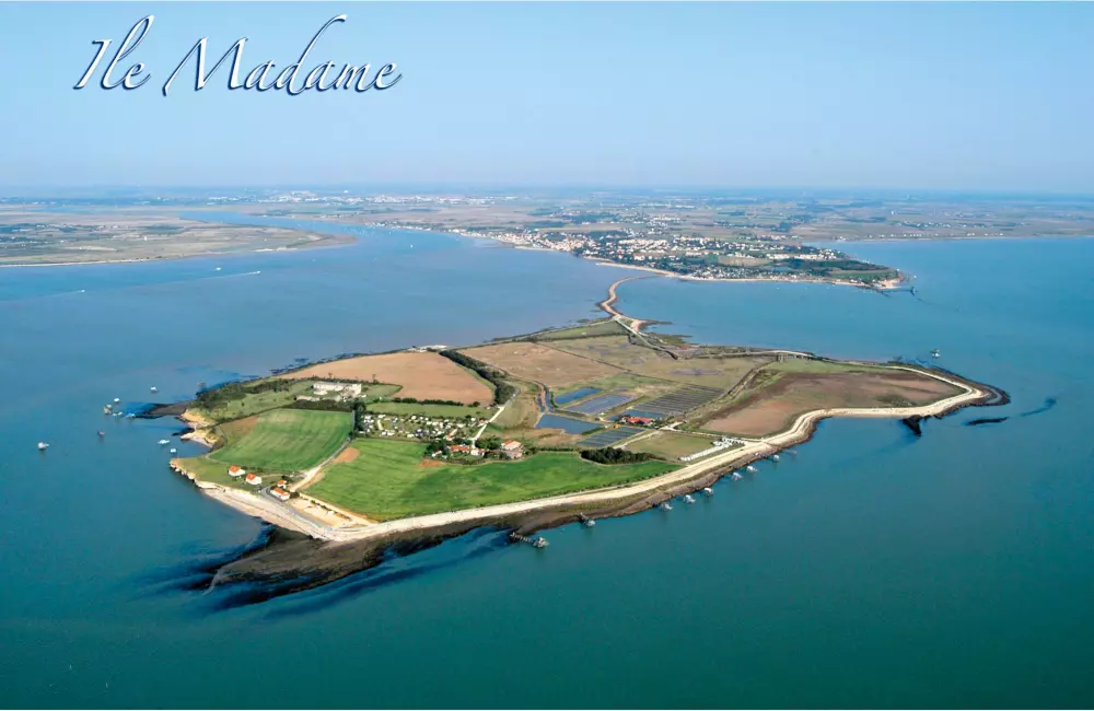 Blomster Camping L'Abri-Côtier Tæt på