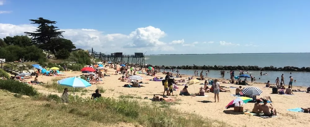 Blomster Camping L'Abri-Côtier Tæt på