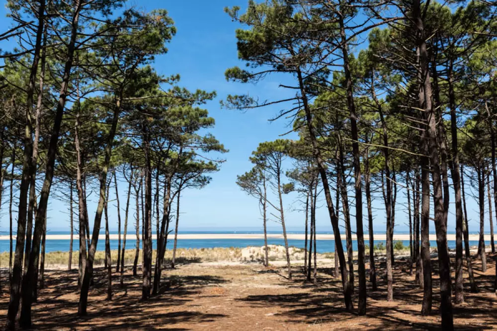 Campingplads La Clairière6 Stjerner★★★★★★