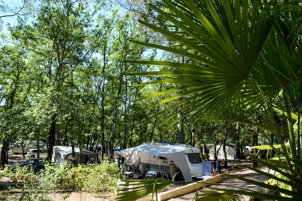 Camping Le Parc 8 Stelle★★★★★★★★