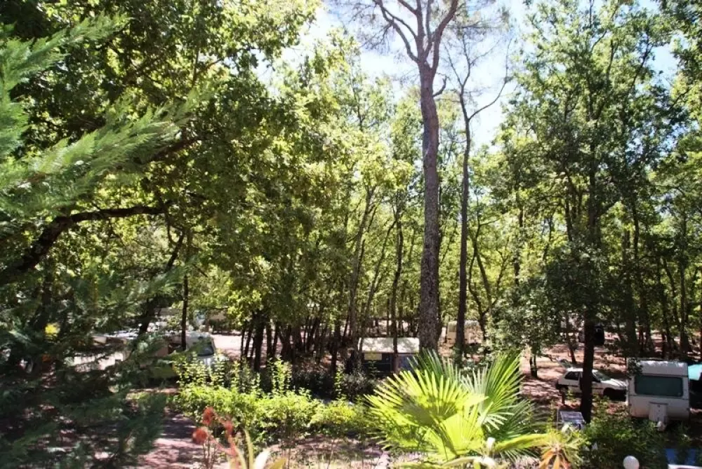 Camping Le Parc 8 Stelle★★★★★★★★