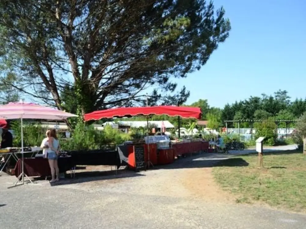 Campsite Les Pins Du Soleil 4 Stars★★★★