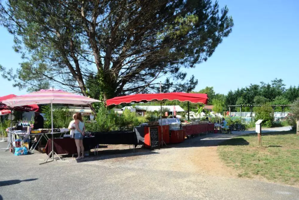 Camping les Pins du Soleil4 Stars★★★★