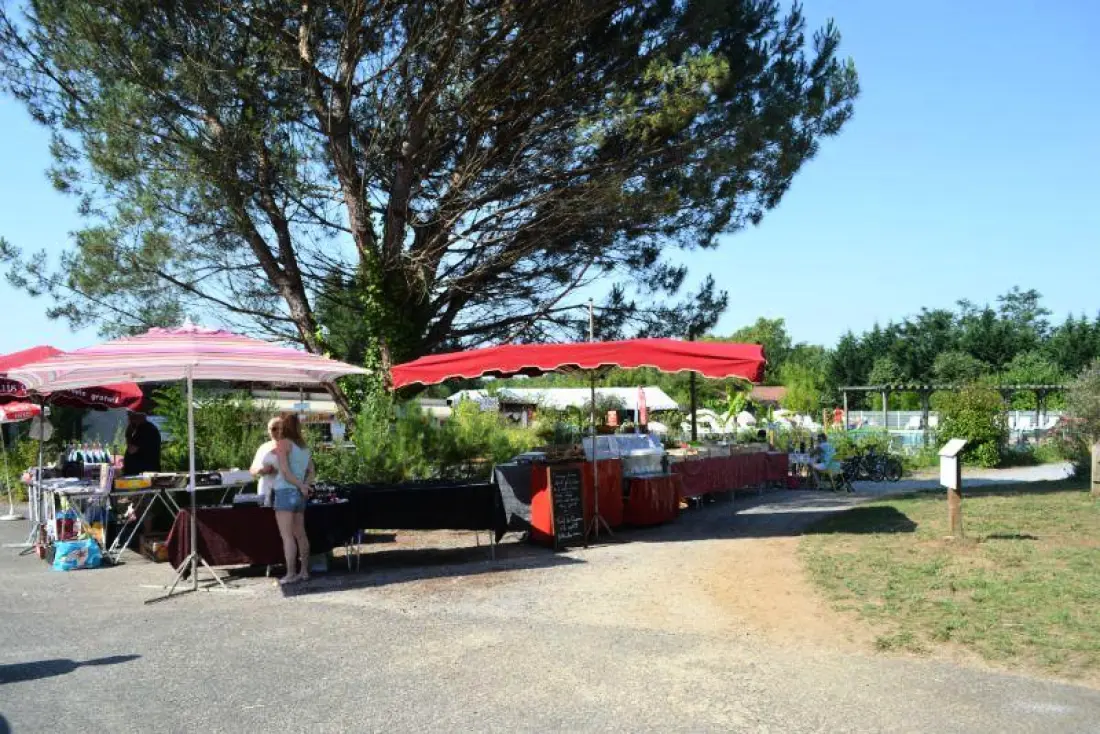 Camping les Pins du Soleil4 Stars★★★★