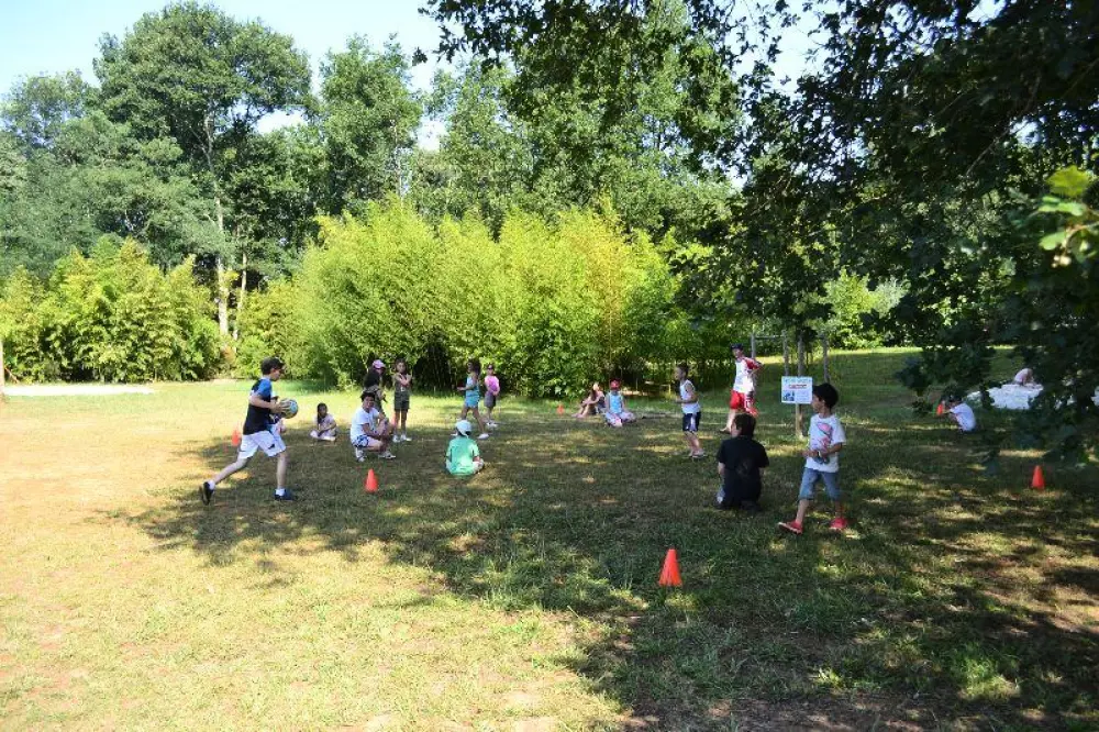 Camping les Pins du Soleil4 Stars★★★★