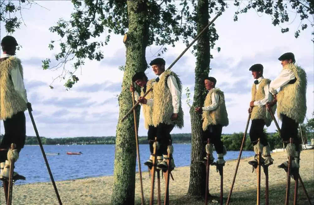 Camping les Pins du Soleil4 Stars★★★★