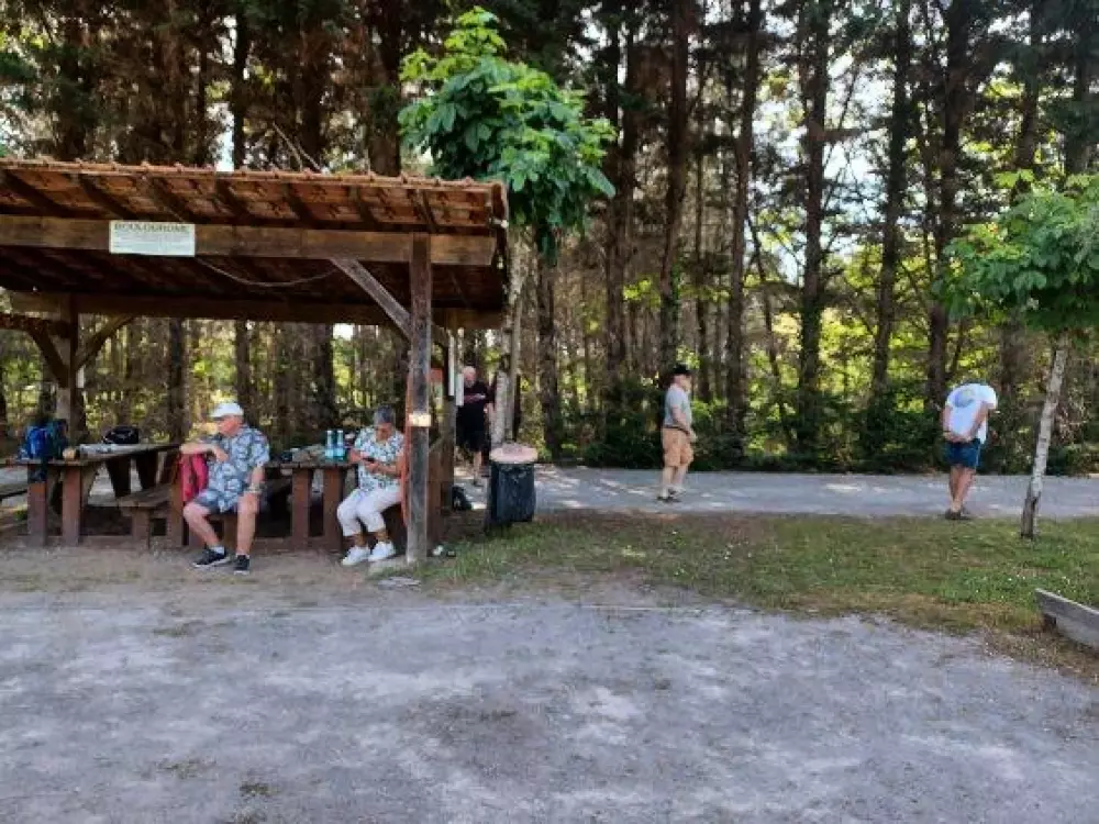 Camping les Pins du Soleil4 Stars★★★★