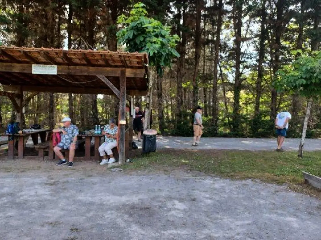 Camping les Pins du Soleil4 Stars★★★★