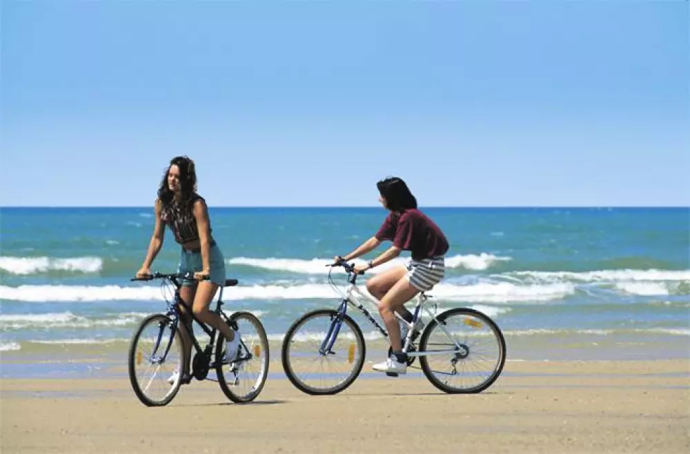 Camping les Pins du Soleil4 Stars★★★★