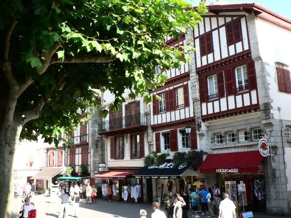 Camping les Pins du Soleil4 Stars★★★★