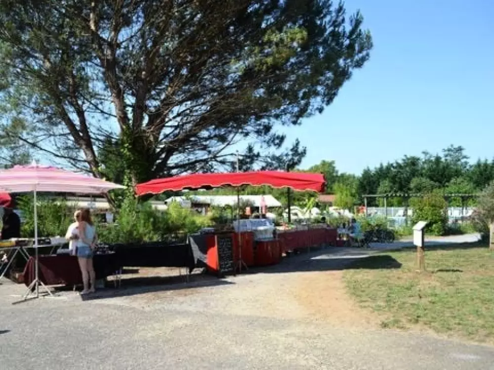 Camping Les Pins Du Soleil 4 étoiles★★★★