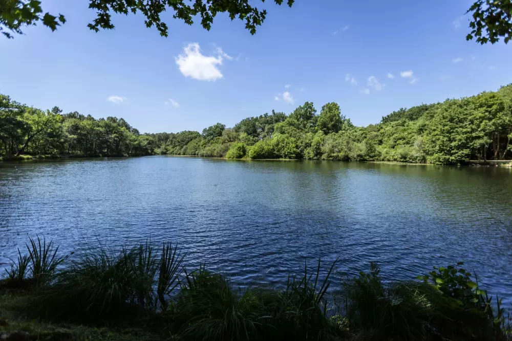 Campsite maeva Getaways l'Etang d'Ardy 3 Stars★★★