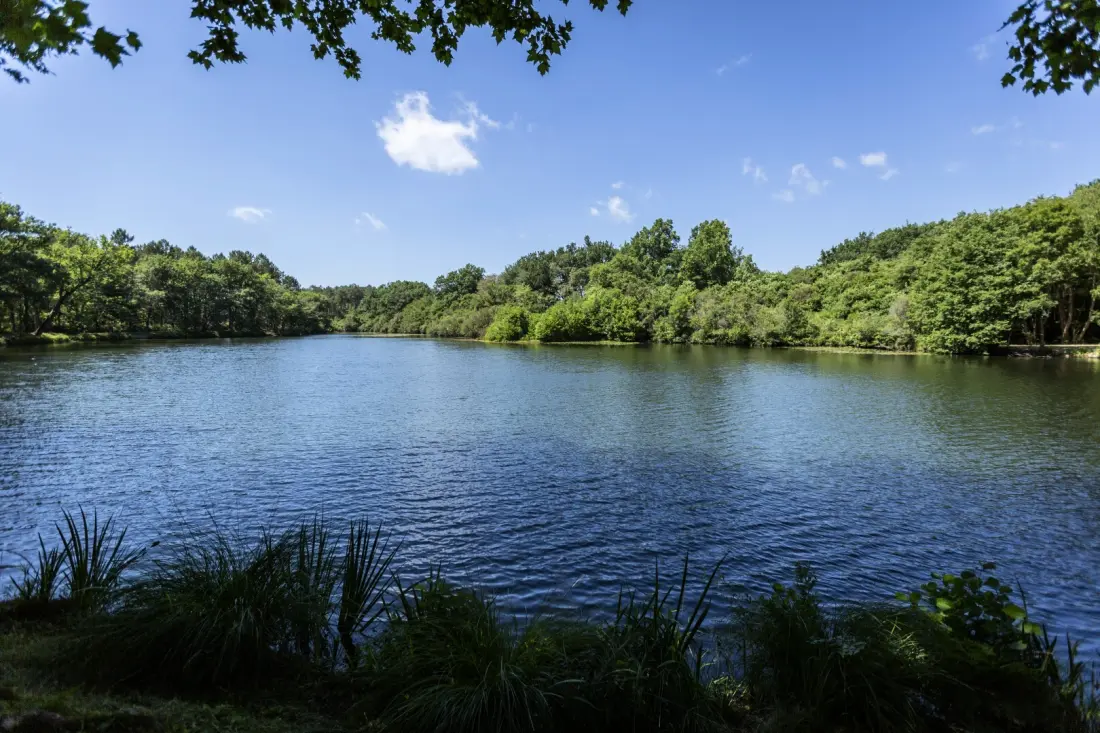Campsite maeva Getaways l'Etang d'Ardy 3 Csillagok★★★
