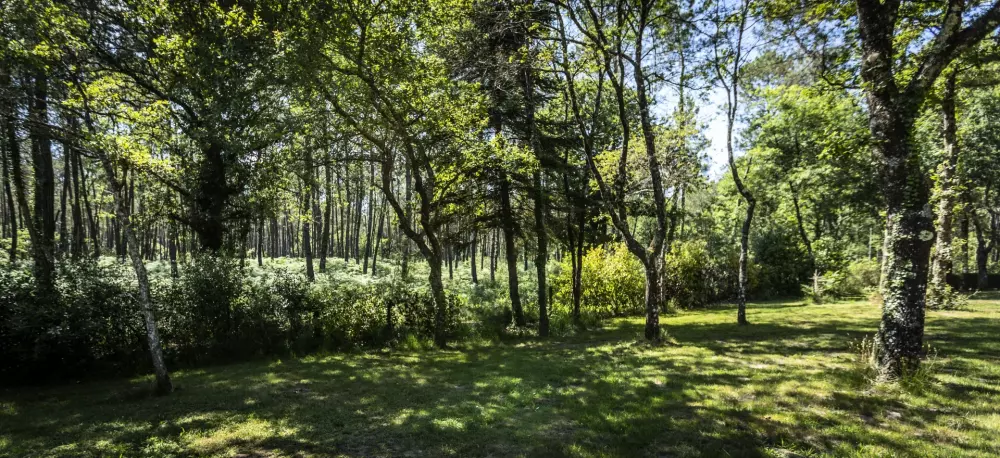 Campsite maeva Getaways l'Etang d'Ardy 3 Stars★★★