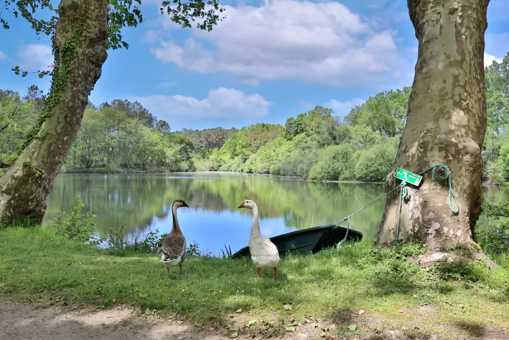 Campsite maeva Getaways l'Etang d'Ardy 3 Stars★★★