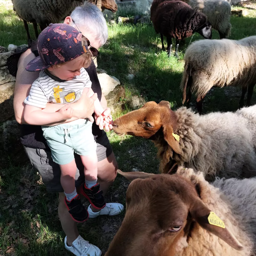 Camping de la Colline 3 Sterne★★★
