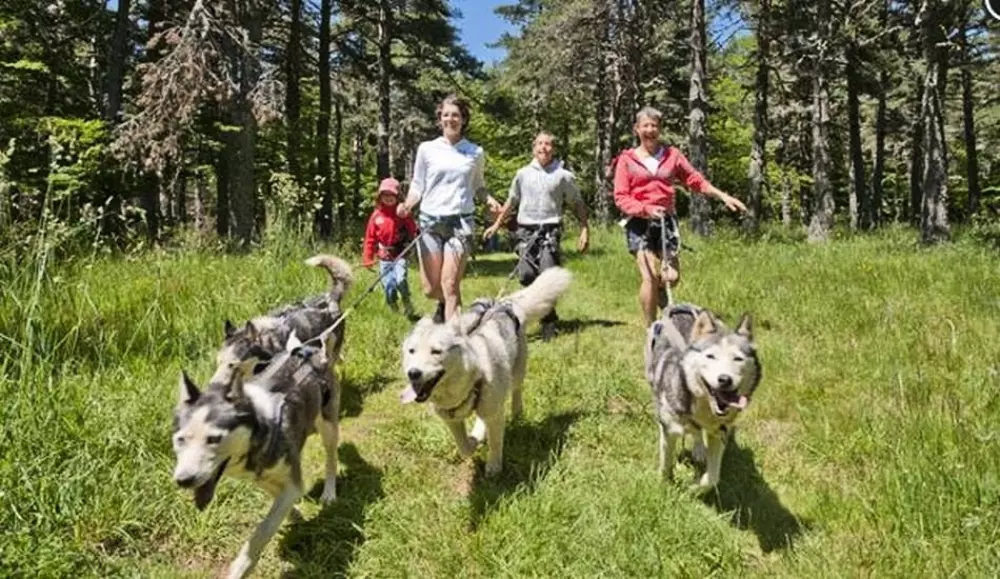 Blumen Camping La Rochelambert 4 Sterne★★★★